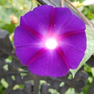 Meet your Posher, Nichole